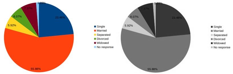 One pie chart with multple colors and another pie chart in greyscale